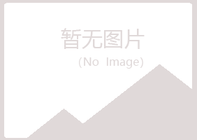 公主岭夏岚化学有限公司